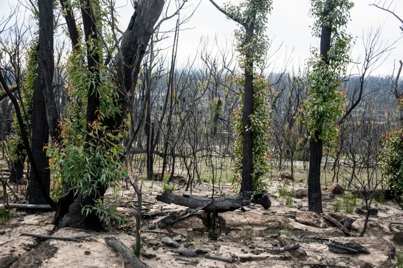 Shutterstock 1798132447 2100X1400 670Cda82 D09f 40C6 B20a 29C3ccaff0d3