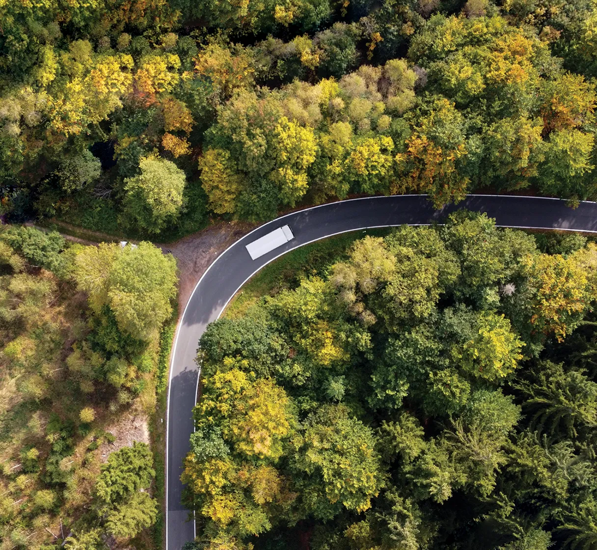 Carbon Neutral 608X560@2X