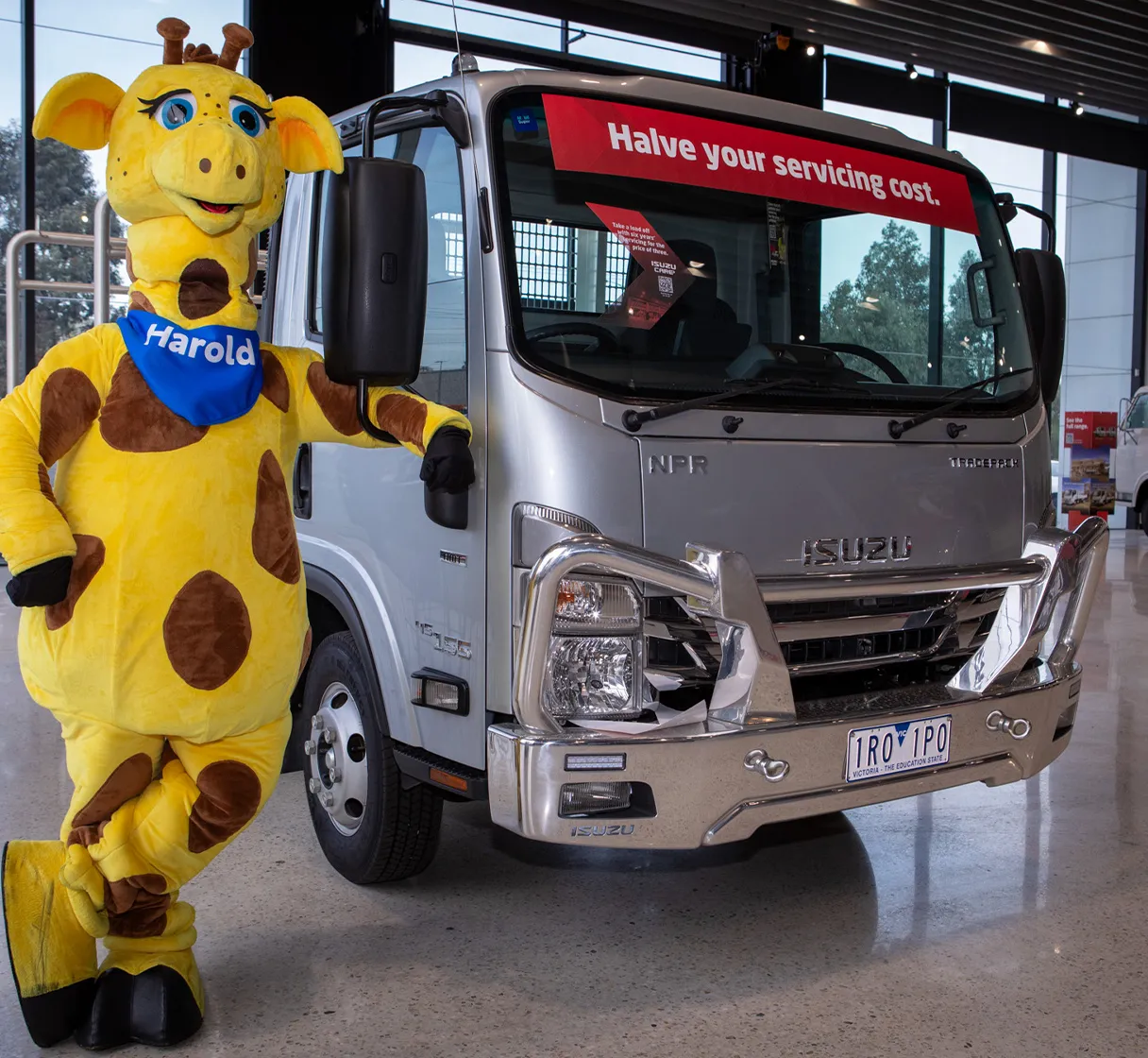 ISZS1935 Lifeed Who Video Image Carousel 608X560 2X