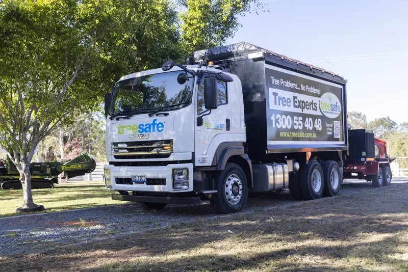 Tree Safe 0479 2100X1401 90B4f0ca 06Cb 4F36 B533 4Ff4cb1fba18